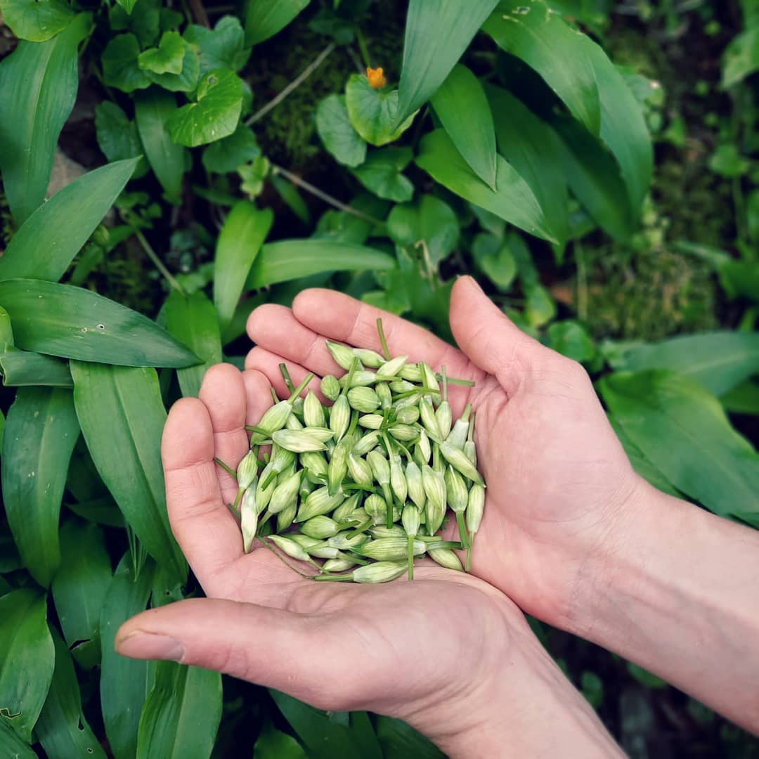 173794546_144317217694382_1125850953929389381_n